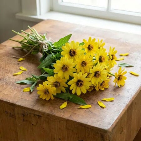 Lemon Profusion, Zinnia Seeds - Packet image number null